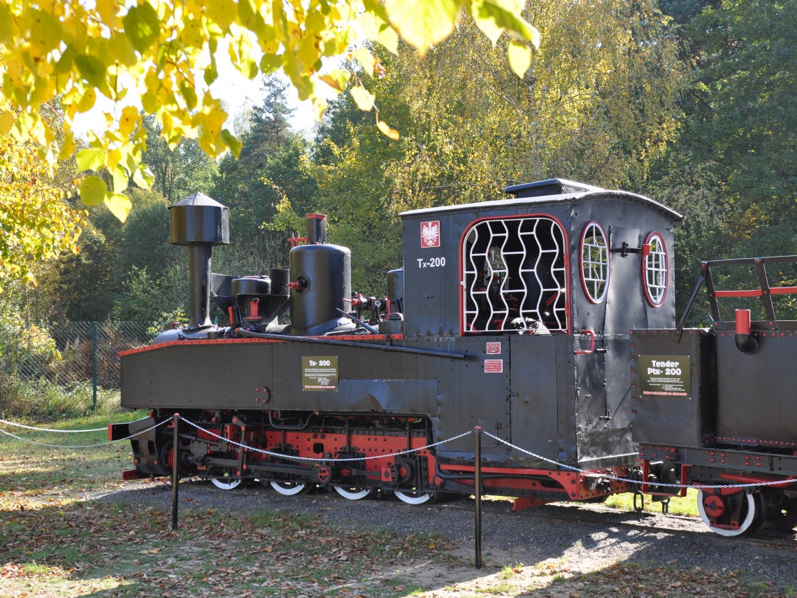 lokomotywa zabytkowej kolejki w jesiennym otoczeniu; wokół drzewa pokryte różnokolorowymi liśćmi