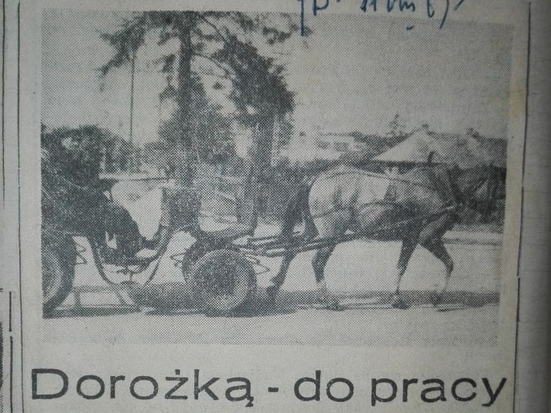 Zdjęcie wycinka ze starej gazety. Na nim fotografia konia i wozu, pod spodem tekst oraz tytuł artykułu „Dorożką do pracy”.