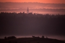 mglisty zachód słońca, na pagórku jedzie wóz ciągnięty przez konia, w oddali za lasem widnieją strzeliste wieże kościoła