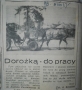 Zdjęcie wycinka ze starej gazety. Na nim fotografia konia i wozu, pod spodem tekst oraz tytuł artykułu „Dorożką do pracy”.