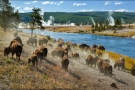 Krajobraz Parku Narodowego Yellowstone