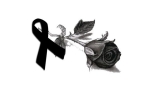 czarno-biała grafika; róża i czarna wstążka