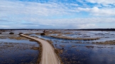  WYRÓŻNIENIE Robert Lubczyński z Kielc, Wiosna (Dolistowo Stare)