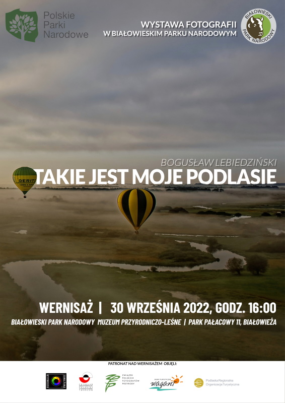Plakat informujący o wydarzeniu, w tle widok z góry na rzekę i balony