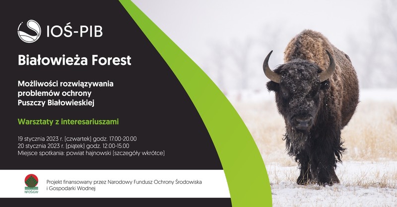 Plakat zapraszający na wydarzenie zdjęcie żubra zimą oraz informacje o warsztatach