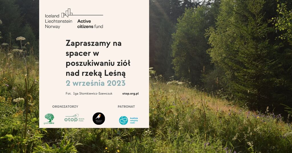 w tle leśna polana, na nim beżowy prostoką z informacją o wydarzeniu i logotypami organizatorów, partnerow