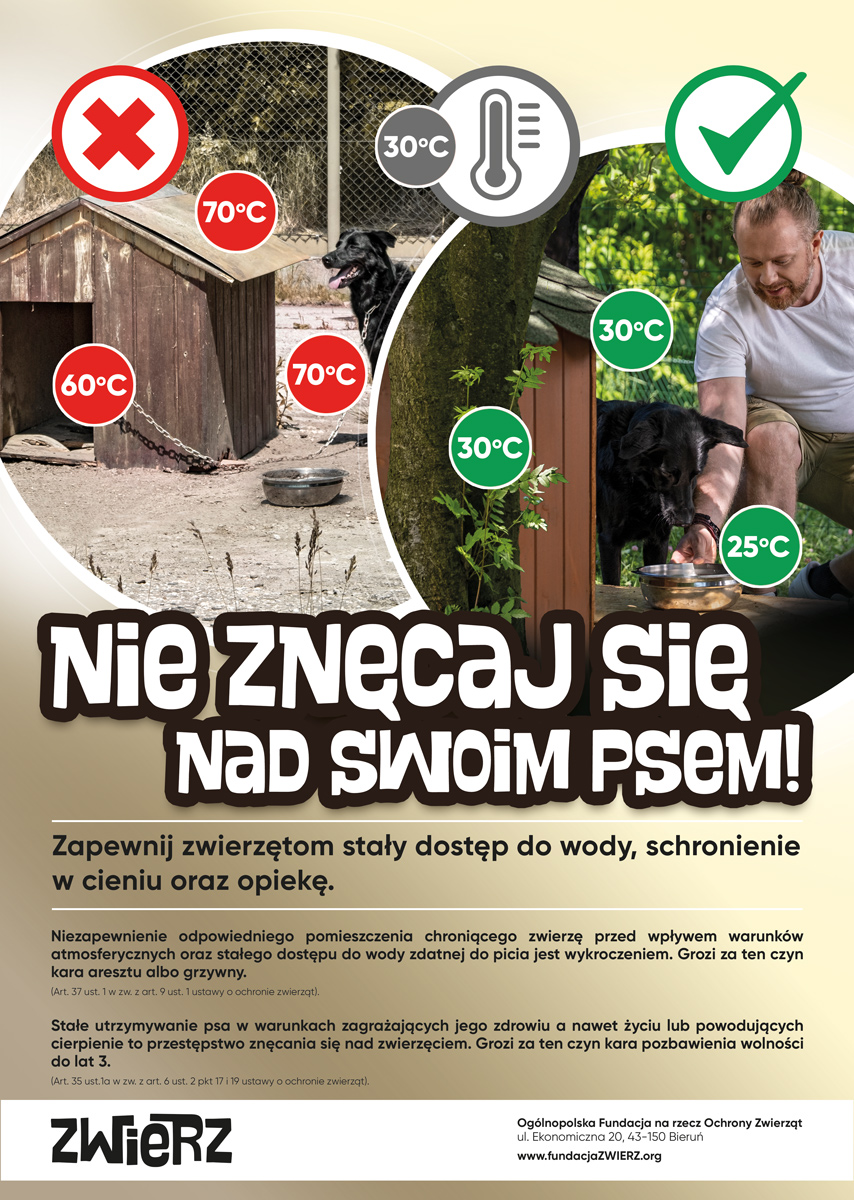 ulotka informacyjna