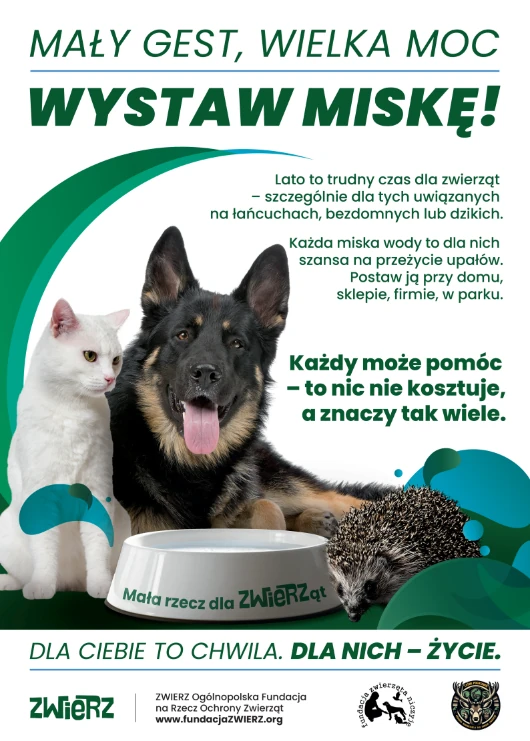 plakat informacyjny