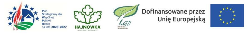 loga projektowe