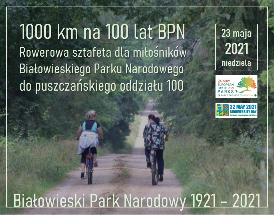 plakat wydarzenia; w tle leśna ścieżka, po której jedzie dwoje rowerzystów