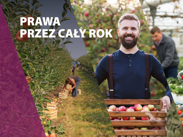 Kolorowy plakat, na nim napis "Prawa przez cały rok"