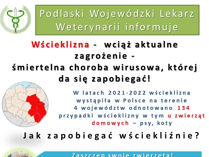 plakat z wytycznymi