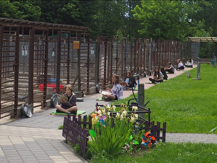 Młodzi ludzie siedzą przed klatkami z psami i trzymają w dłoniach książki.