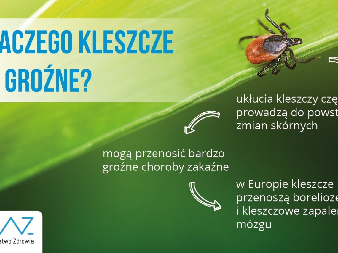 grafika kleszcza 