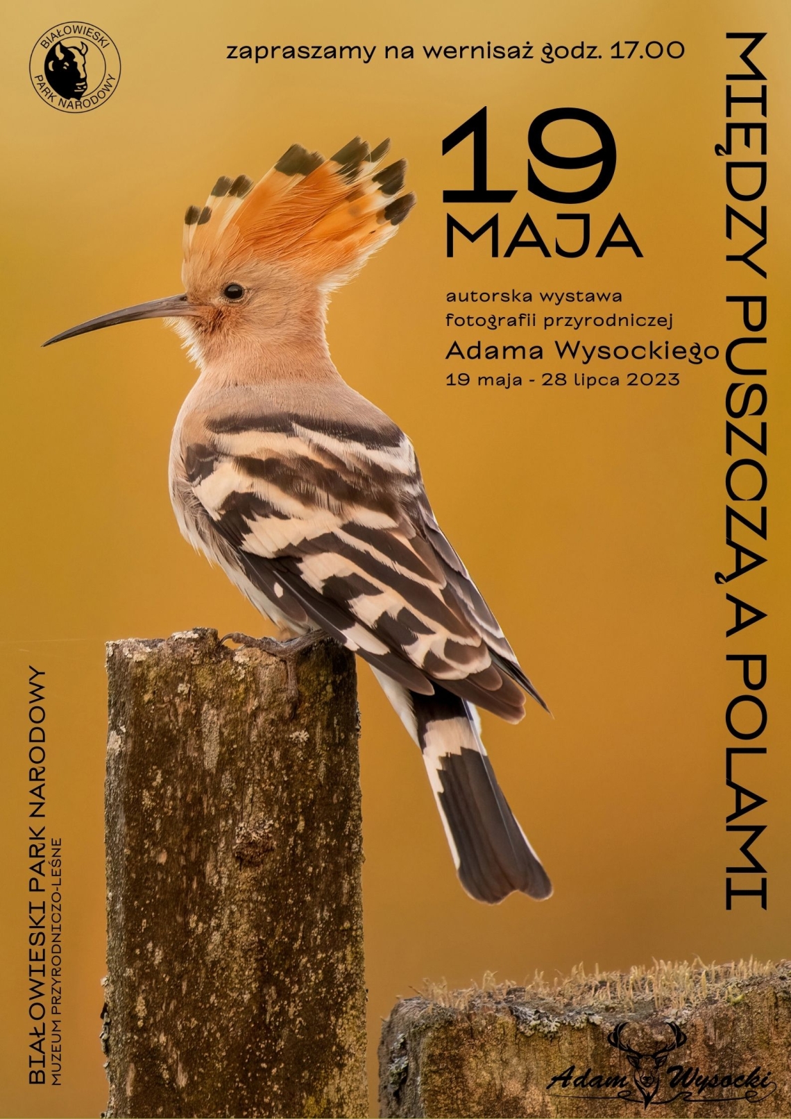 zdjęcie ptaka oraz loga organizatórw i informacje o wydarzeniu