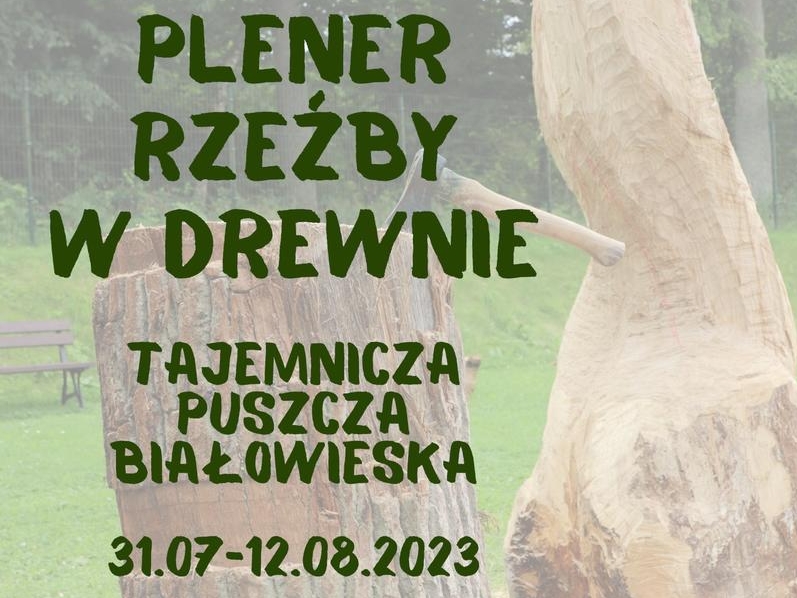 grafika drzewa, informacje o wydarzeniu oraz loga organizatorów