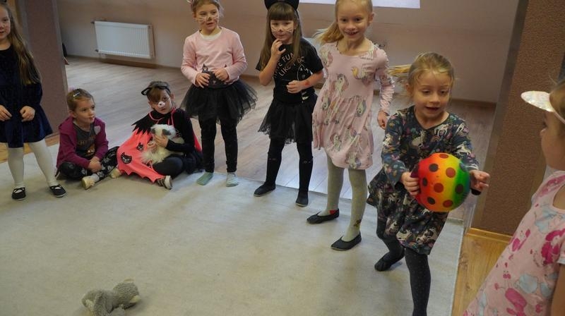 dzieci uczestniczące w zajęciach z okazji Dnia Kota.