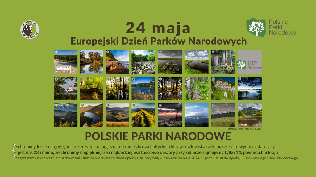 informacje o wydarzeniu, logo organizatora, grafika tematyczna