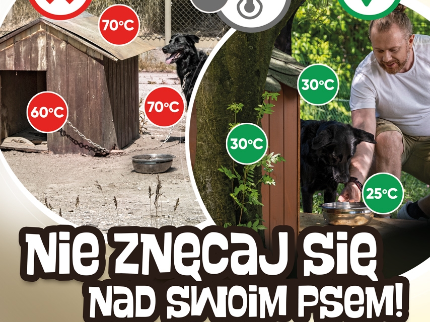ulotka informacyjna