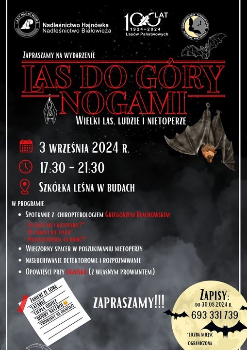 informacje o wydarzeniu, logo organizatora, grafika tematyczna