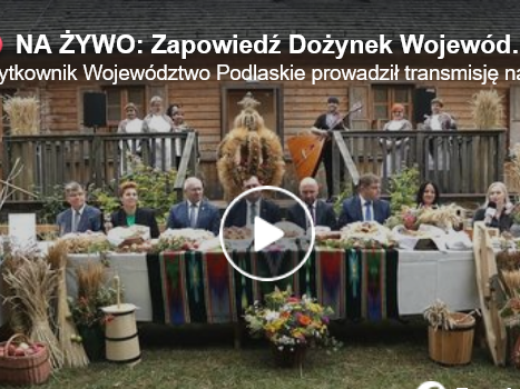 kadr z filmu