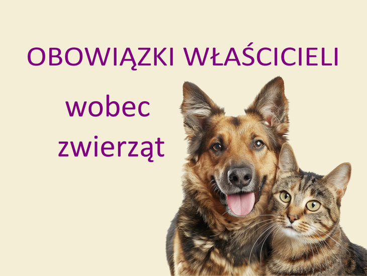 grafika psa i okota oraz mapis OBOWIĄZKI WŁAŚCICIELI wobec zwierząt