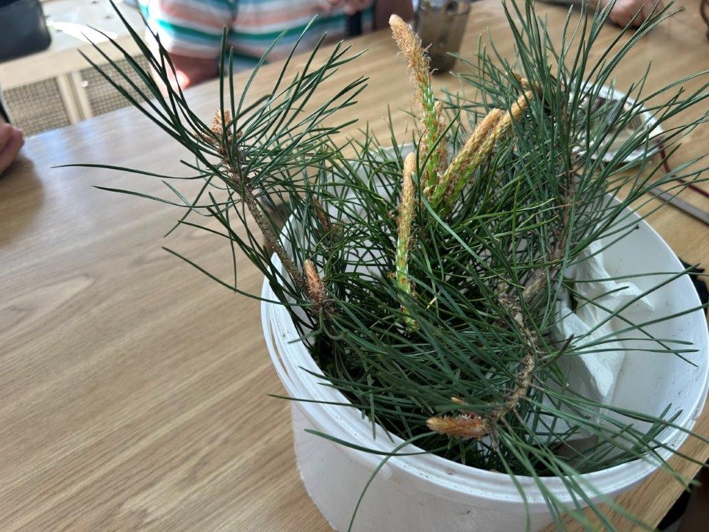 produkty na warsztaty