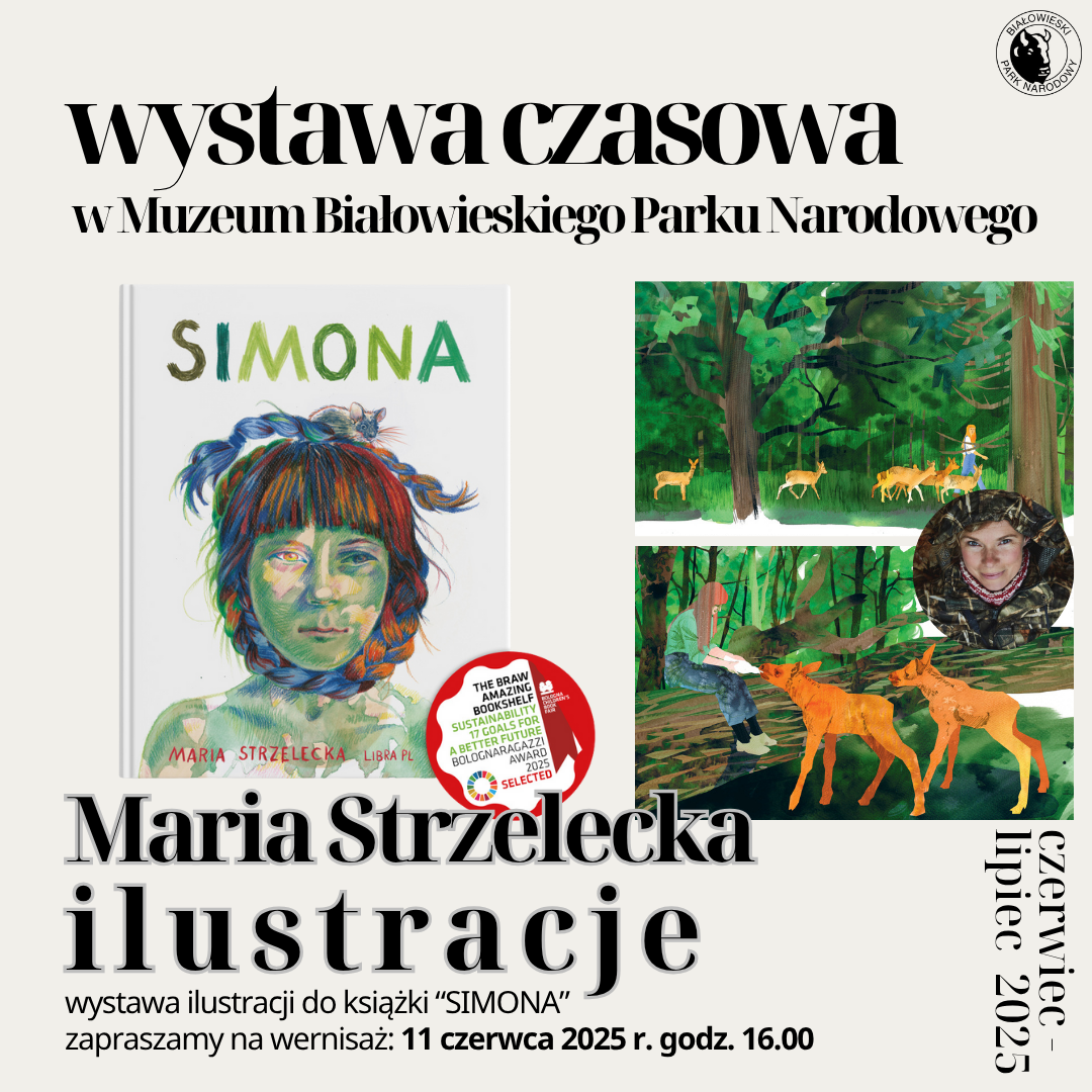 informacje o wydarzeniu, logo organizatora, grafika tematyczna