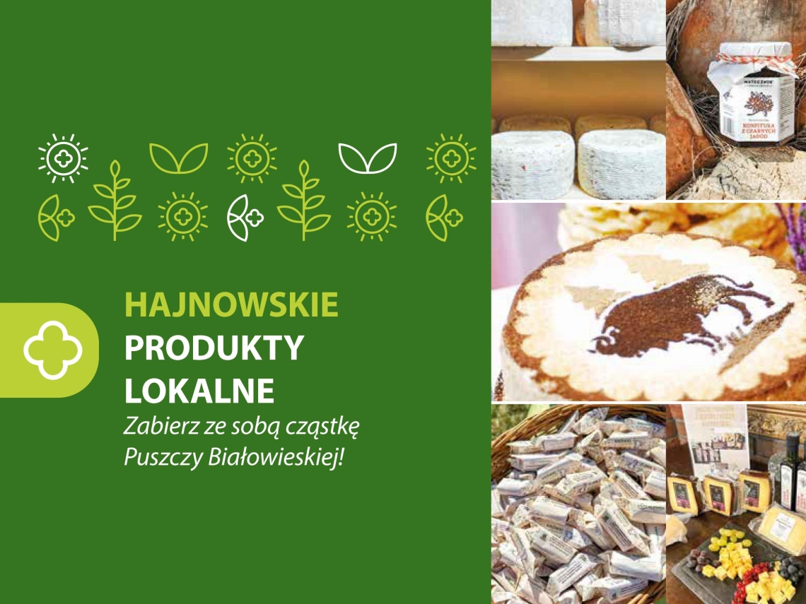 okładka folderu 