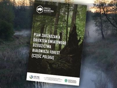 na tle zdjęcia przedsatwiającego puszczę leży dokument - plan zarządzania