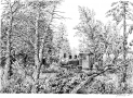 czarno-biała grafika, przedstawiająca mknącą kolejkę leśną przez puszczańskie lasy