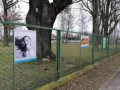 na ogrodzeniu wiszą trzy konkursowe prace, na pierwszym planie czarno-biały portret kobiety