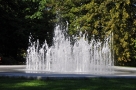 fontanna w parku miejskim; zdjęcie ukazuje wodę wytrysującą do góry o różnej wysokości; w tle zielone drzewa