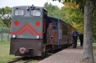 lokomotywa wraz z wagonikami stojąca na peronie znajdującym sie na terenie nadleśnictwa; na przedzie lokomotywa na namalowane dwa czerwone trójkąty (większy a pod nim mniejszy); przy wagonikach idzie mężczyzna; po prawej stronie widać pnie rosnących tam drzew