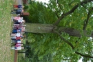 Projekt Edukacyjny Najstarsze Drzewa w Hajnówce