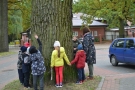 Projekt Edukacyjny Najstarsze Drzewa w Hajnówce