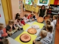 Projekt Edukacyjny Najstarsze Drzewa w Hajnówce