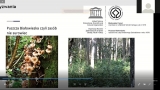 zrzut ekranu ze spotkania on-line