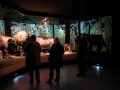 zwiedzanie Muzeum Przyrodniczego w Białowieży
