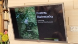 pokaz slajdów