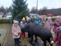 Dzieci podczas spaceru po terenie Nadleśnictwa, oglądają model dzika.