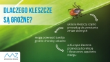 Dlaczego kleszcze są groźne?