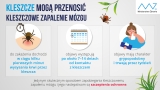 Kleszcze mogą przenosic kleszczowe zapalenie mózgu