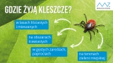 Gdzie żyją kleszcze?