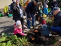 dzieci z babciami i dziadkami podczas sadzenia i podlewania roślin