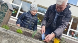 dzieci z babciami i dziadkami podczas sadzenia i podlewania roślin