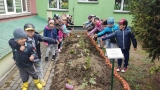 dzieci pokazują posadzone rośliny