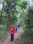 spacer po lesie