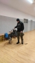 policjant z psem