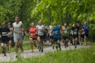 zawodnicy biegną przez las